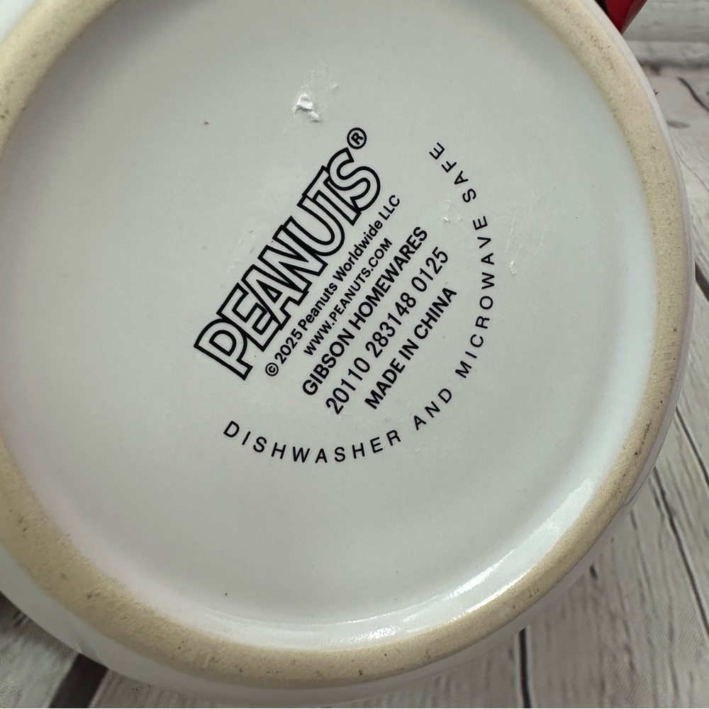 NWT Peanuts Characters Mug charlie brown 21oz snoopy dog house woodstock - Picture 6 of 6